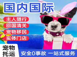 保山云瑞空运代理国际宠物托运 【国